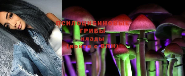 mdpv Бронницы