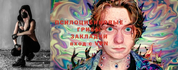 альфа пвп Бородино