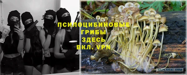 mdpv Бронницы