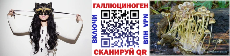 где можно купить наркотик  Королёв  kraken зеркало  Псилоцибиновые грибы Psilocybe 
